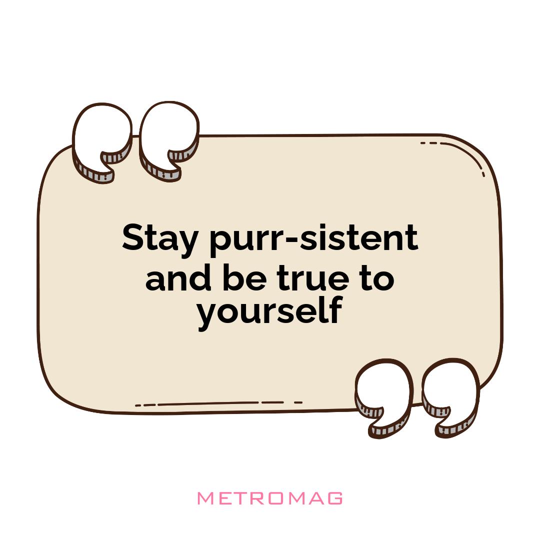 Stay purr-sistent and be true to yourself