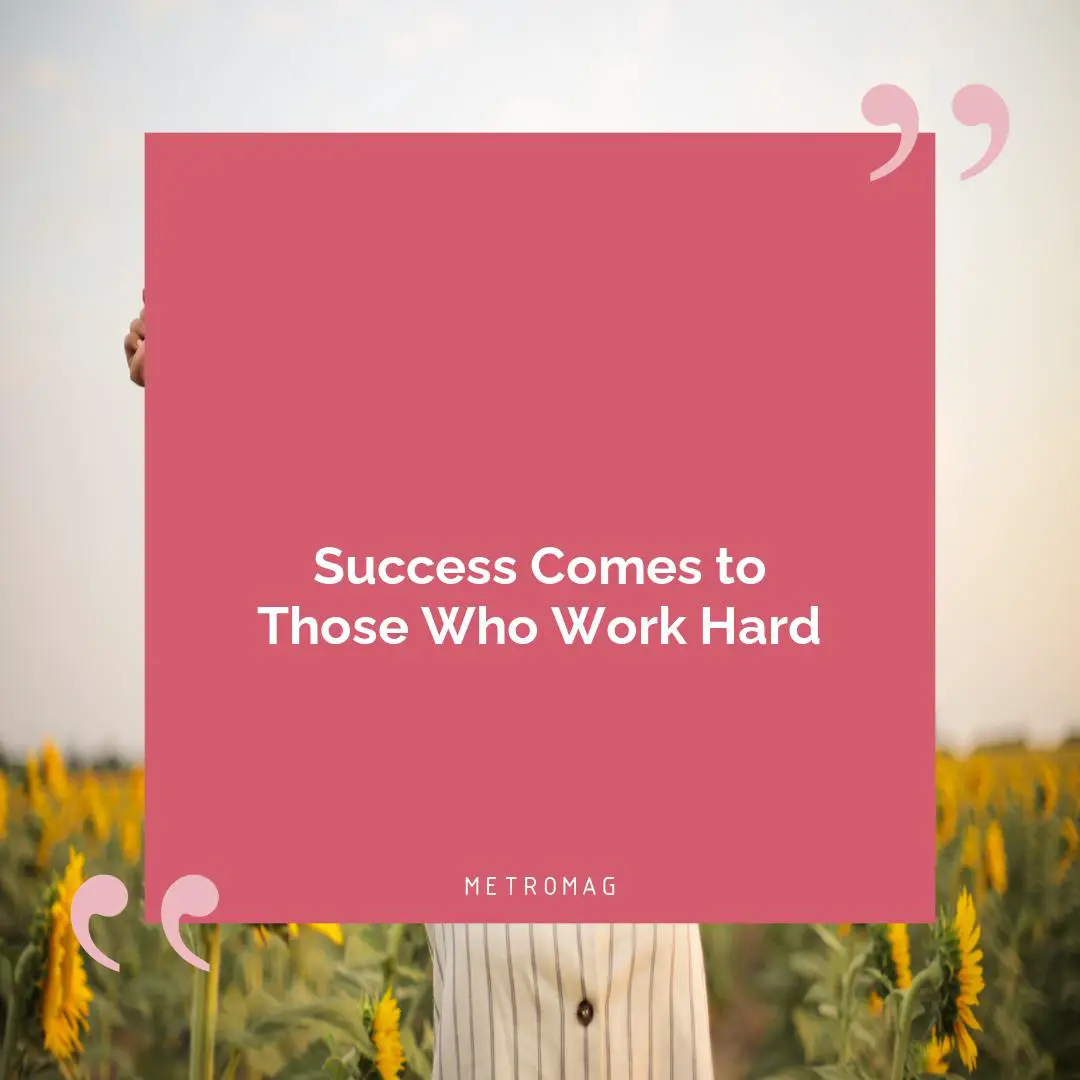 Success Comes to Those Who Work Hard