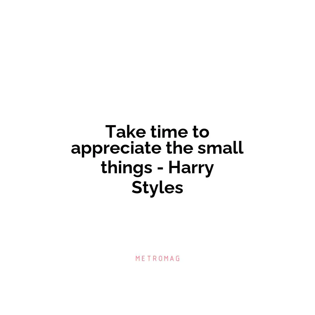 Take time to appreciate the small things - Harry Styles