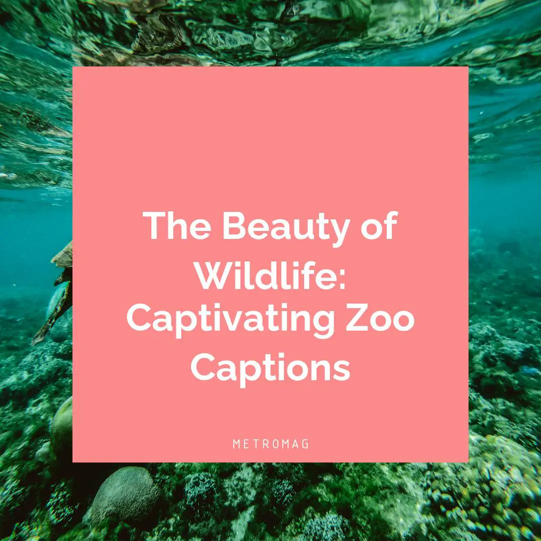 The Beauty of Wildlife: Captivating Zoo Captions