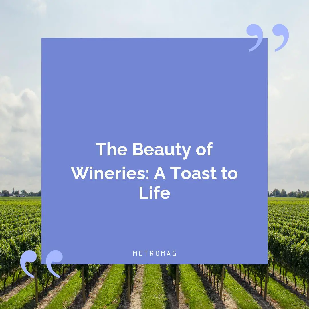 The Beauty of Wineries: A Toast to Life