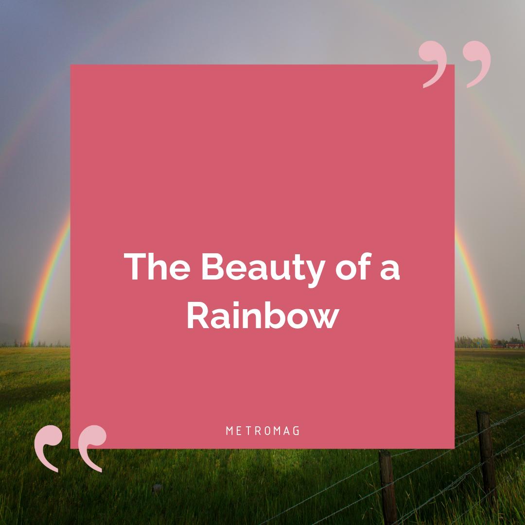 The Beauty of a Rainbow