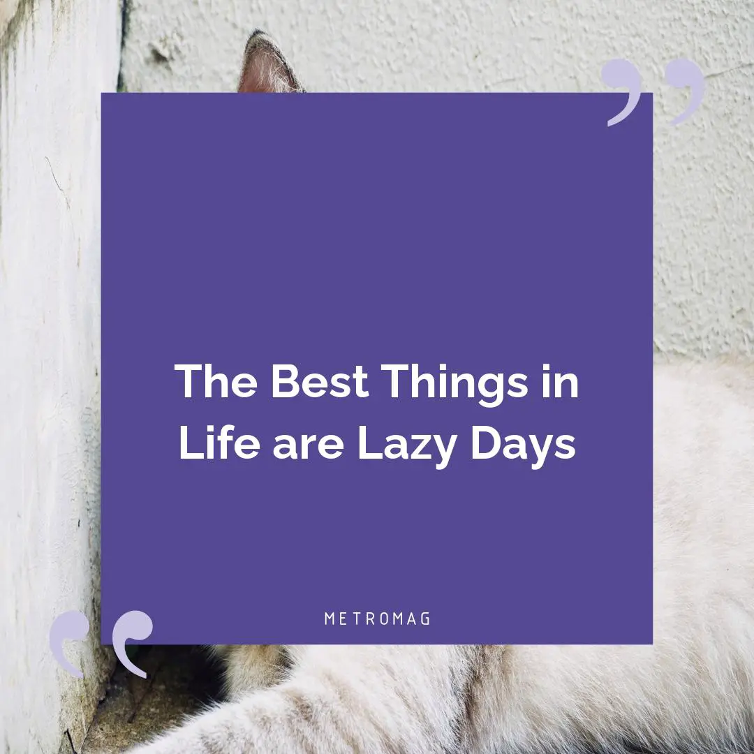 The Best Things in Life are Lazy Days