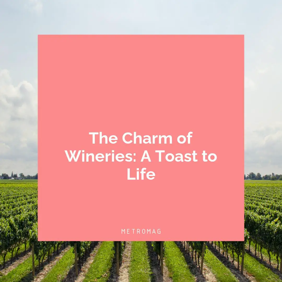The Charm of Wineries: A Toast to Life