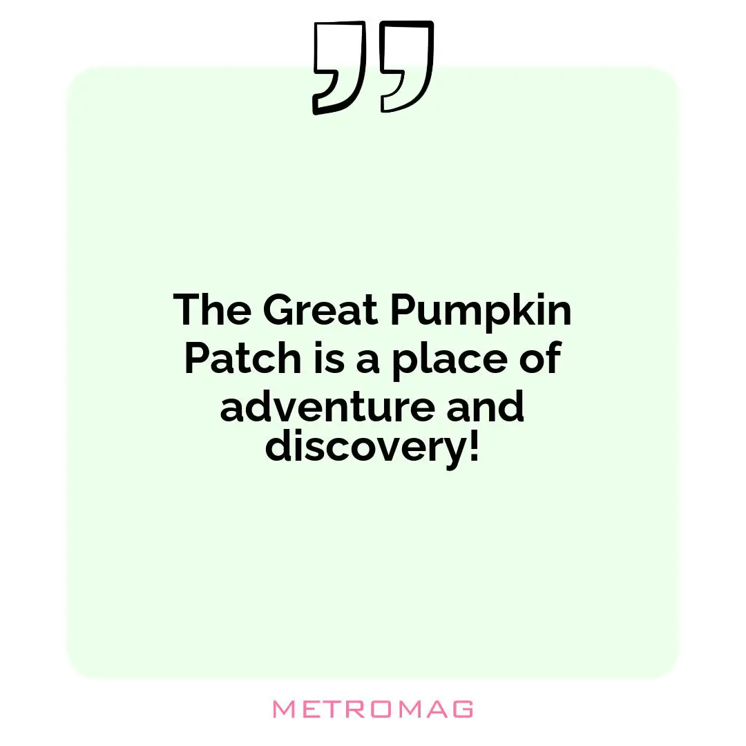 The Great Pumpkin Patch is a place of adventure and discovery!