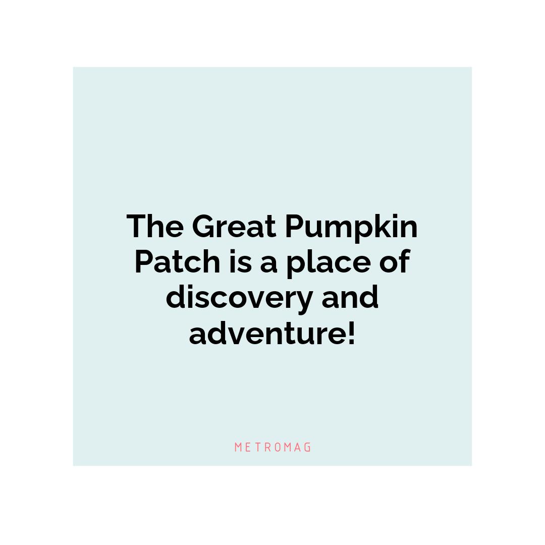 The Great Pumpkin Patch is a place of discovery and adventure!