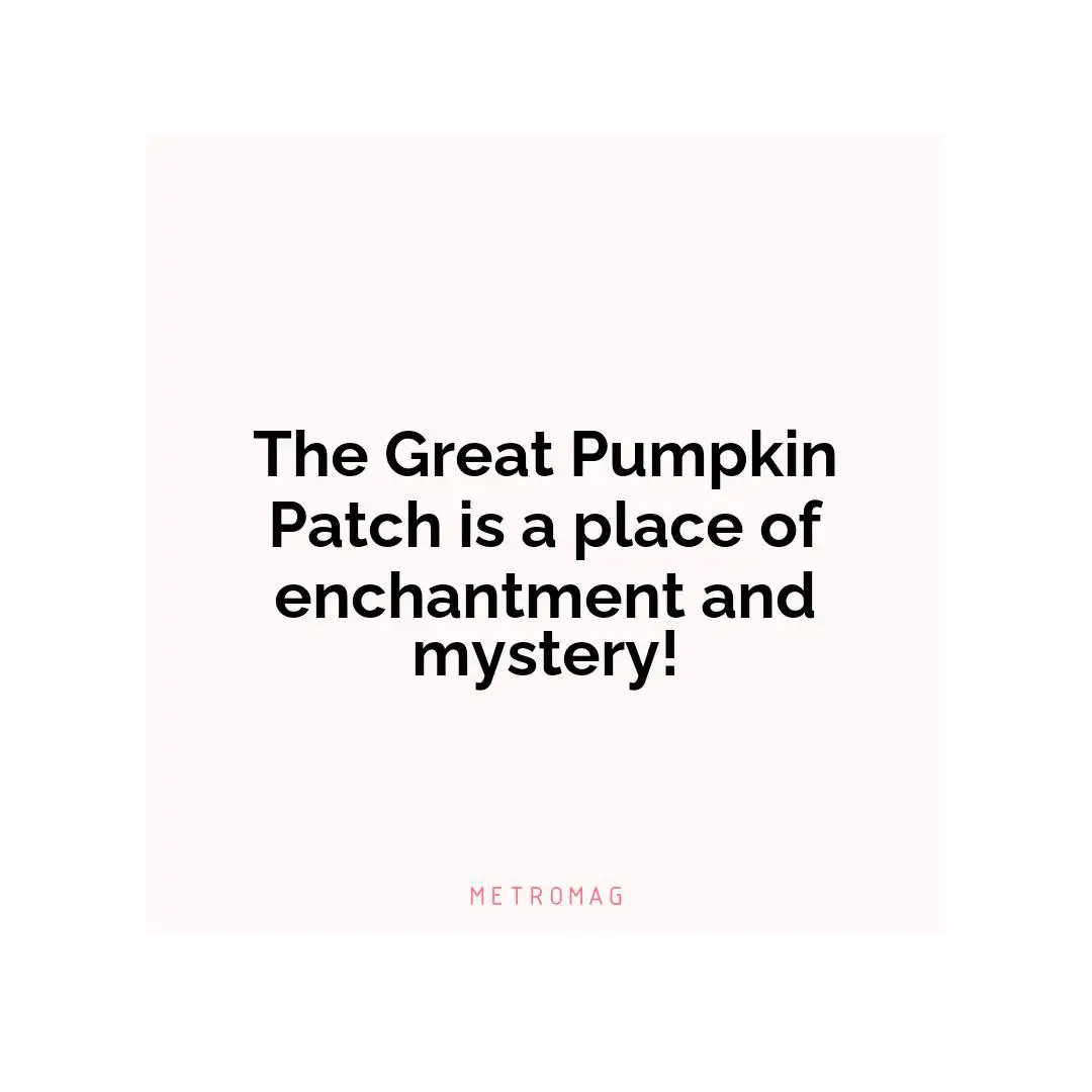 The Great Pumpkin Patch is a place of enchantment and mystery!