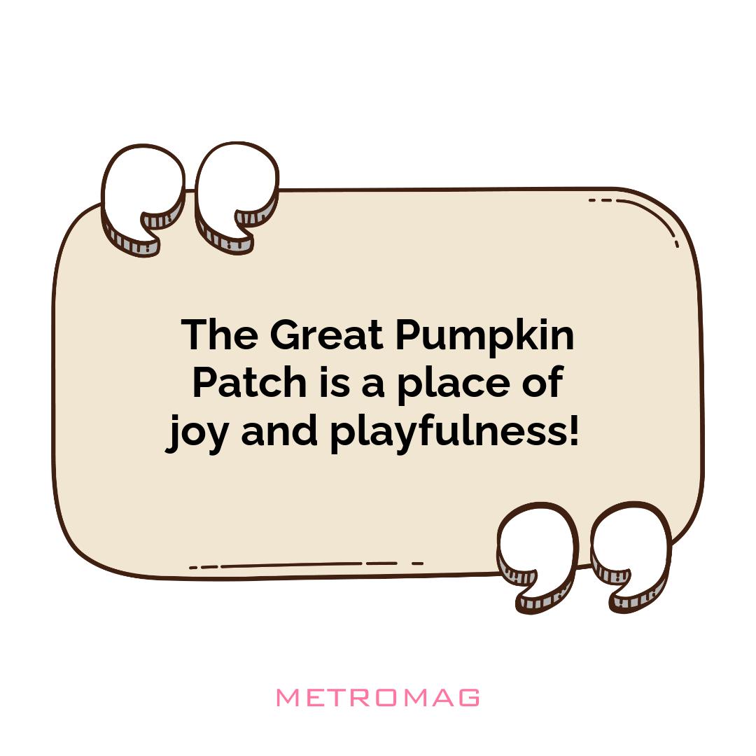 The Great Pumpkin Patch is a place of joy and playfulness!
