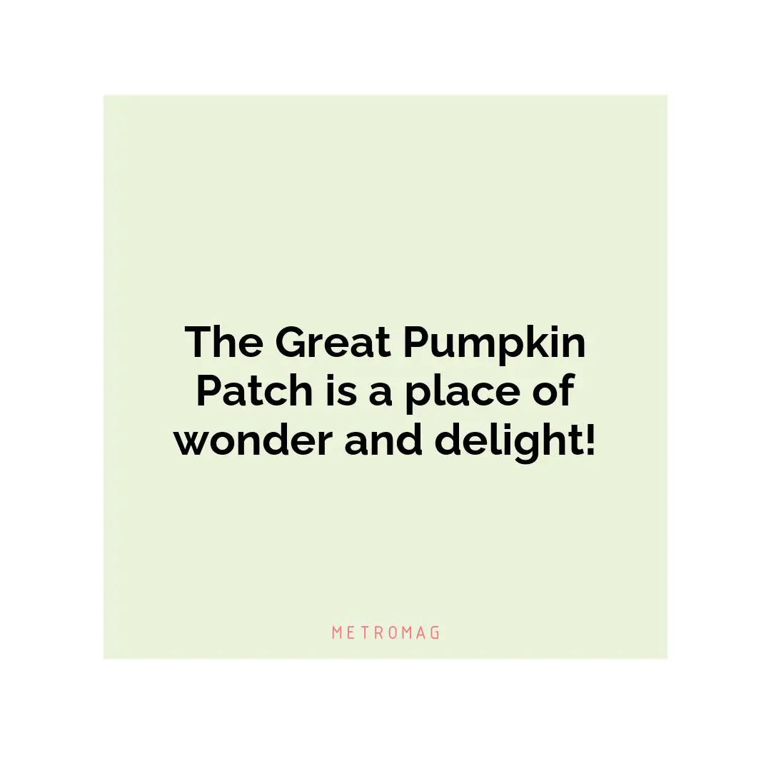 The Great Pumpkin Patch is a place of wonder and delight!