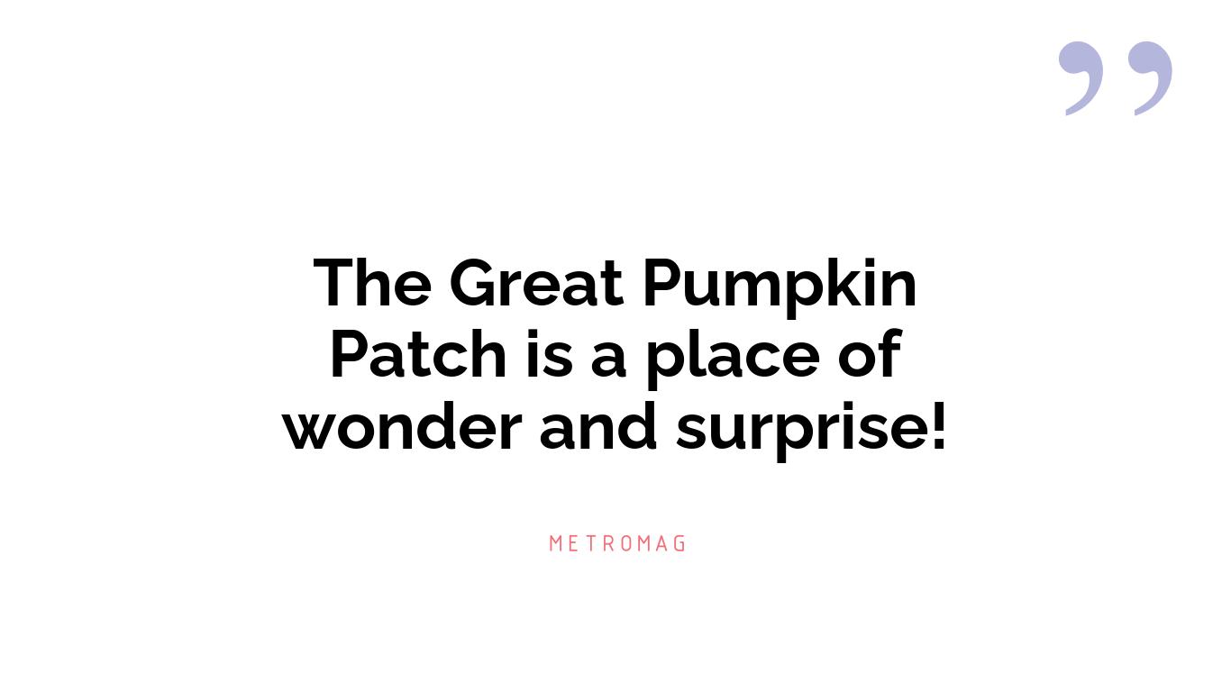 The Great Pumpkin Patch is a place of wonder and surprise!