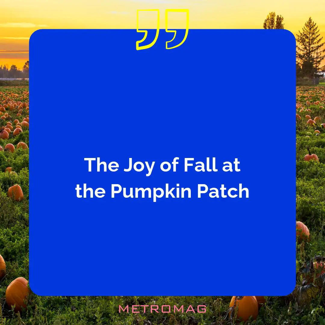 The Joy of Fall at the Pumpkin Patch