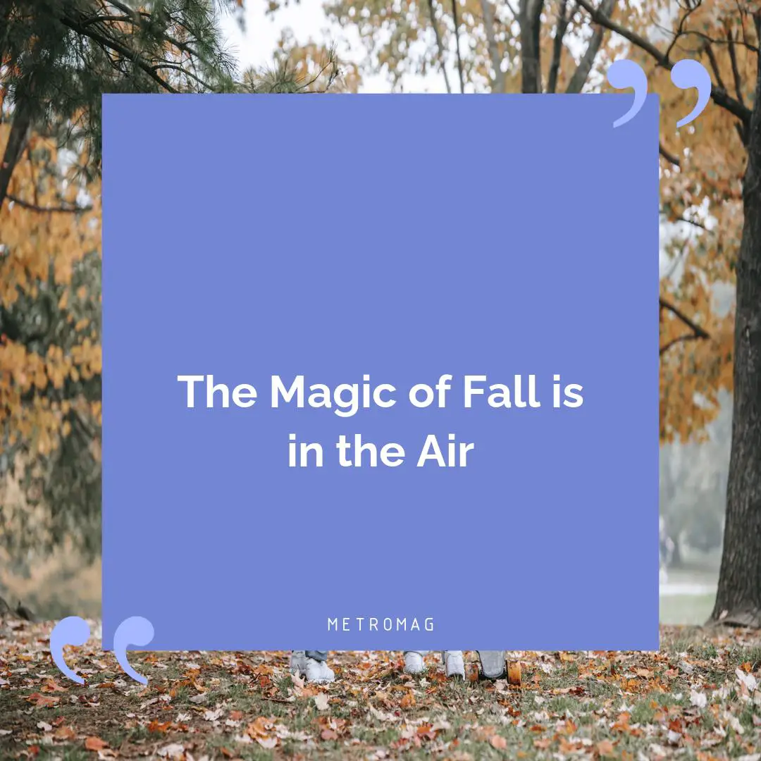 The Magic of Fall is in the Air