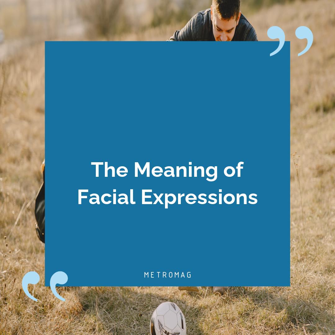 The Meaning of Facial Expressions