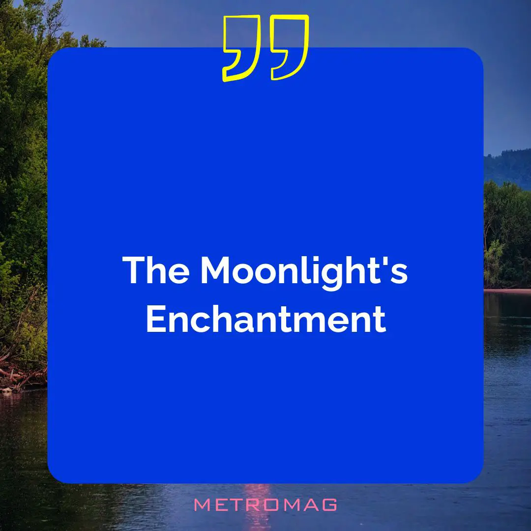 The Moonlight's Enchantment