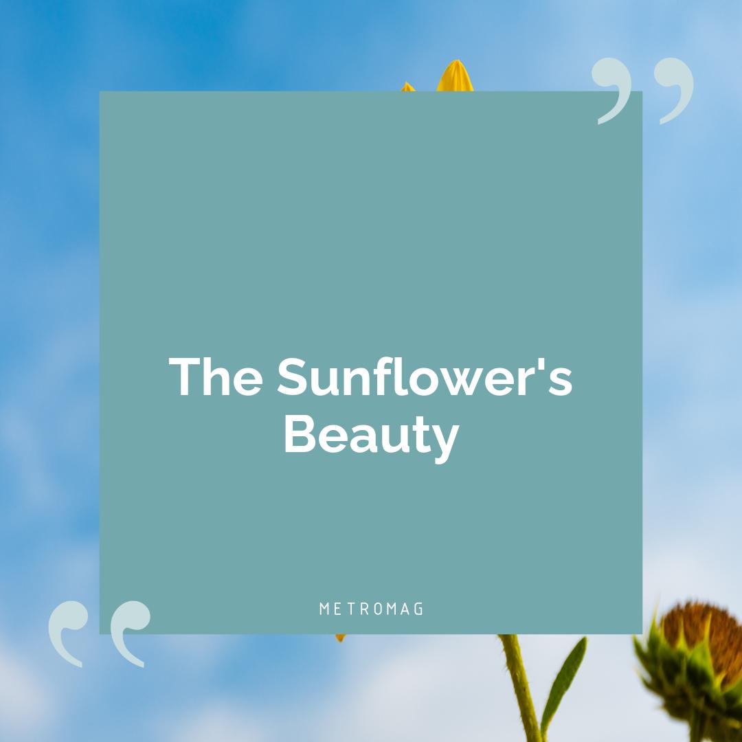 The Sunflower's Beauty