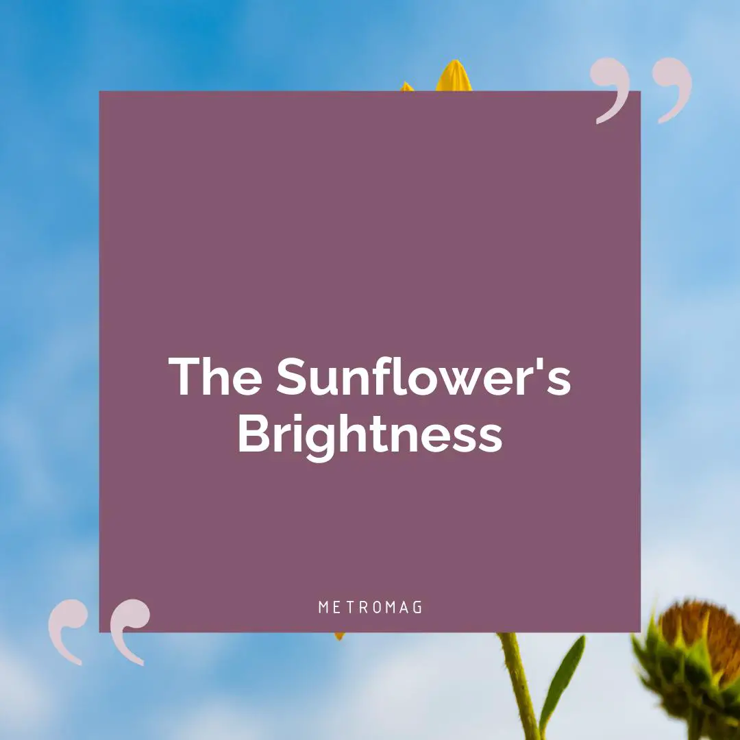 The Sunflower's Brightness