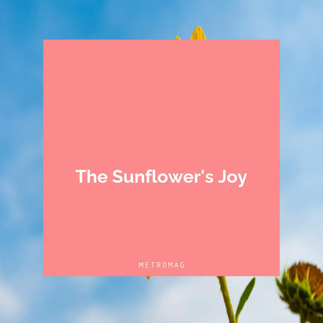 The Sunflower's Joy