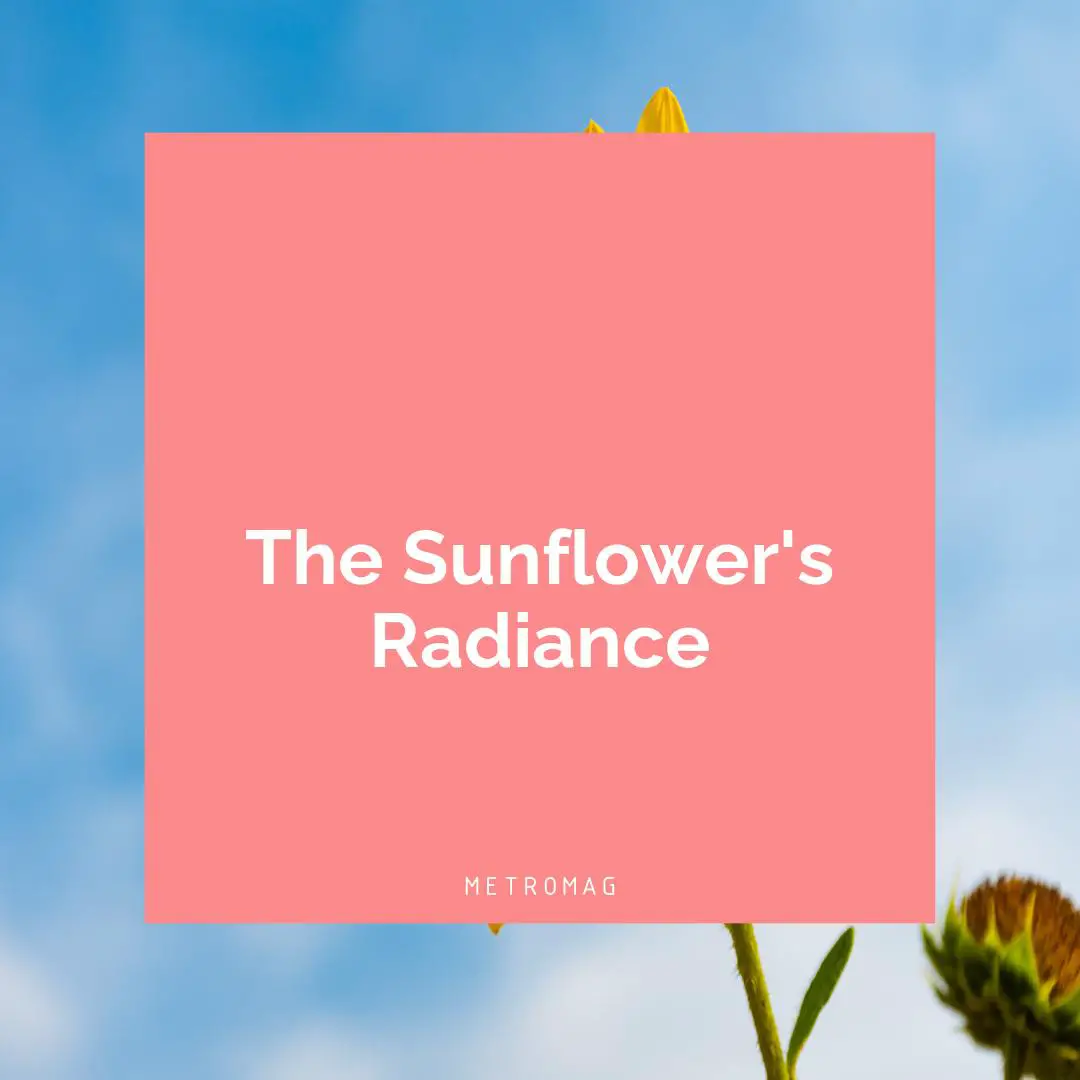 The Sunflower's Radiance