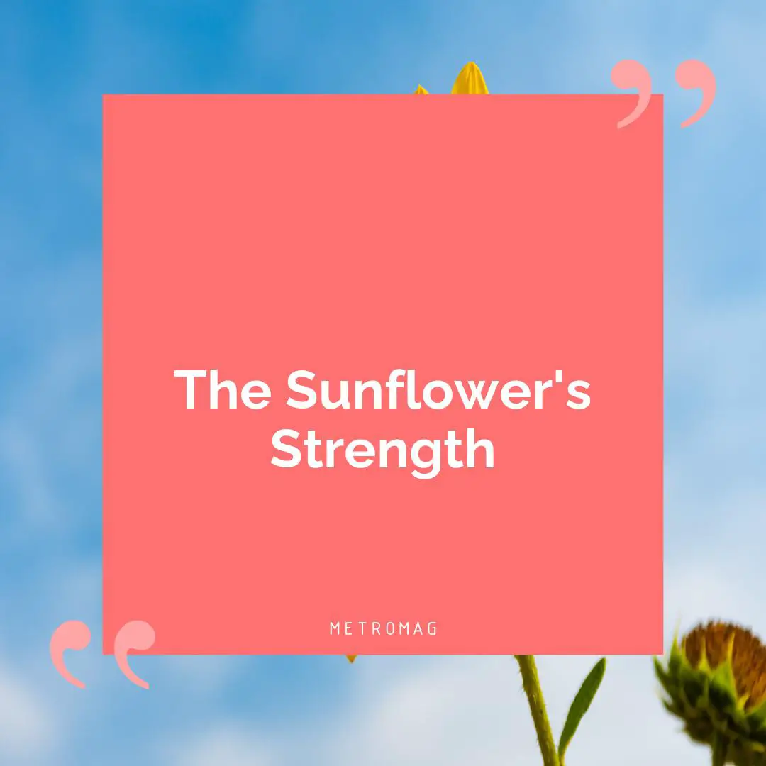 The Sunflower's Strength