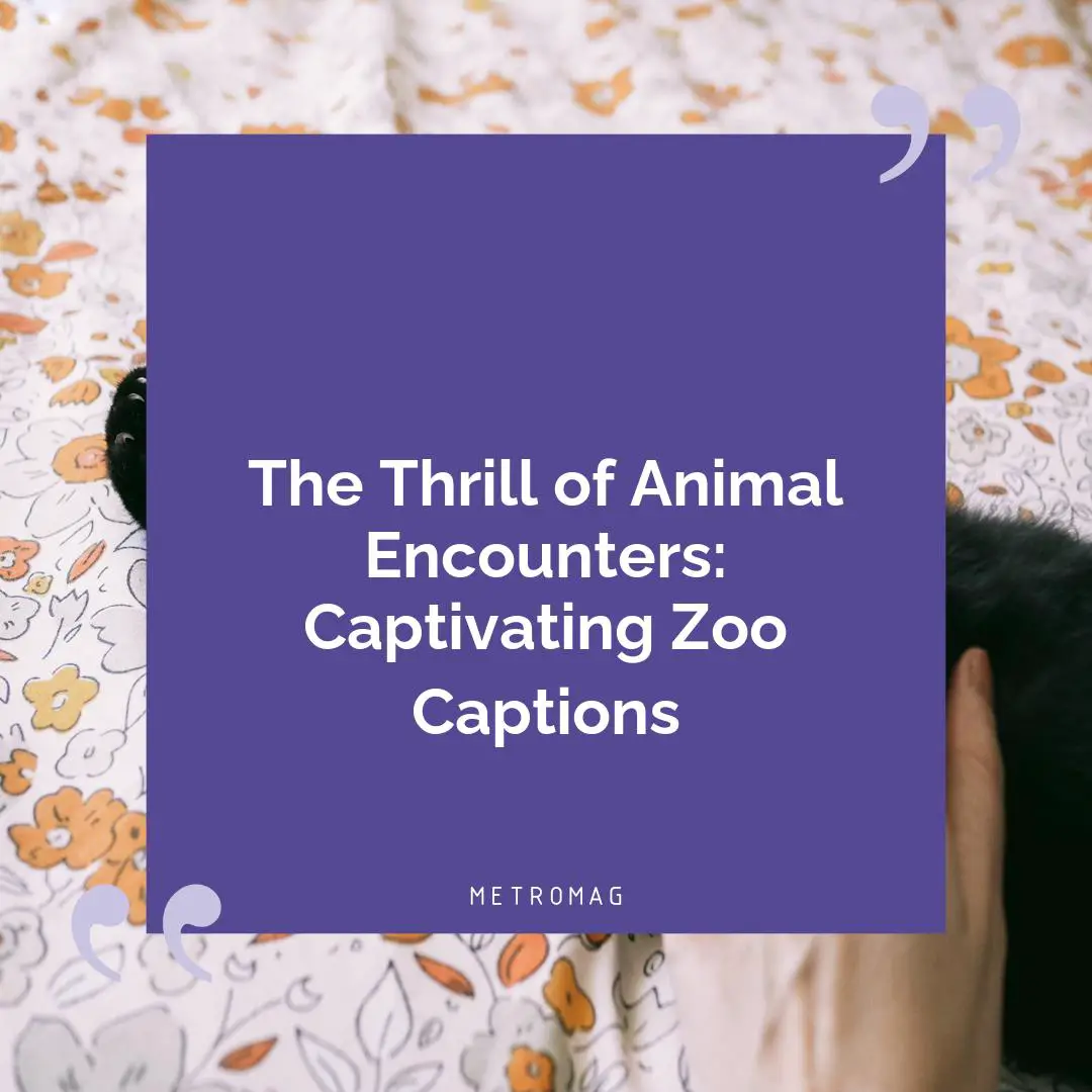The Thrill of Animal Encounters: Captivating Zoo Captions