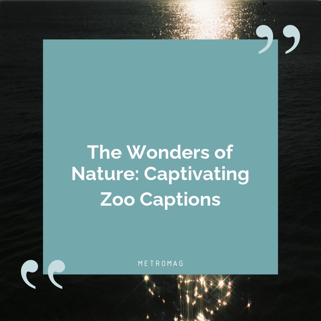 The Wonders of Nature: Captivating Zoo Captions