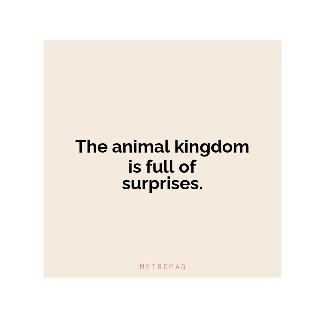 The animal kingdom is full of surprises.