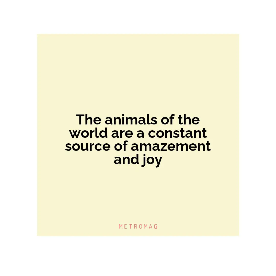 The animals of the world are a constant source of amazement and joy