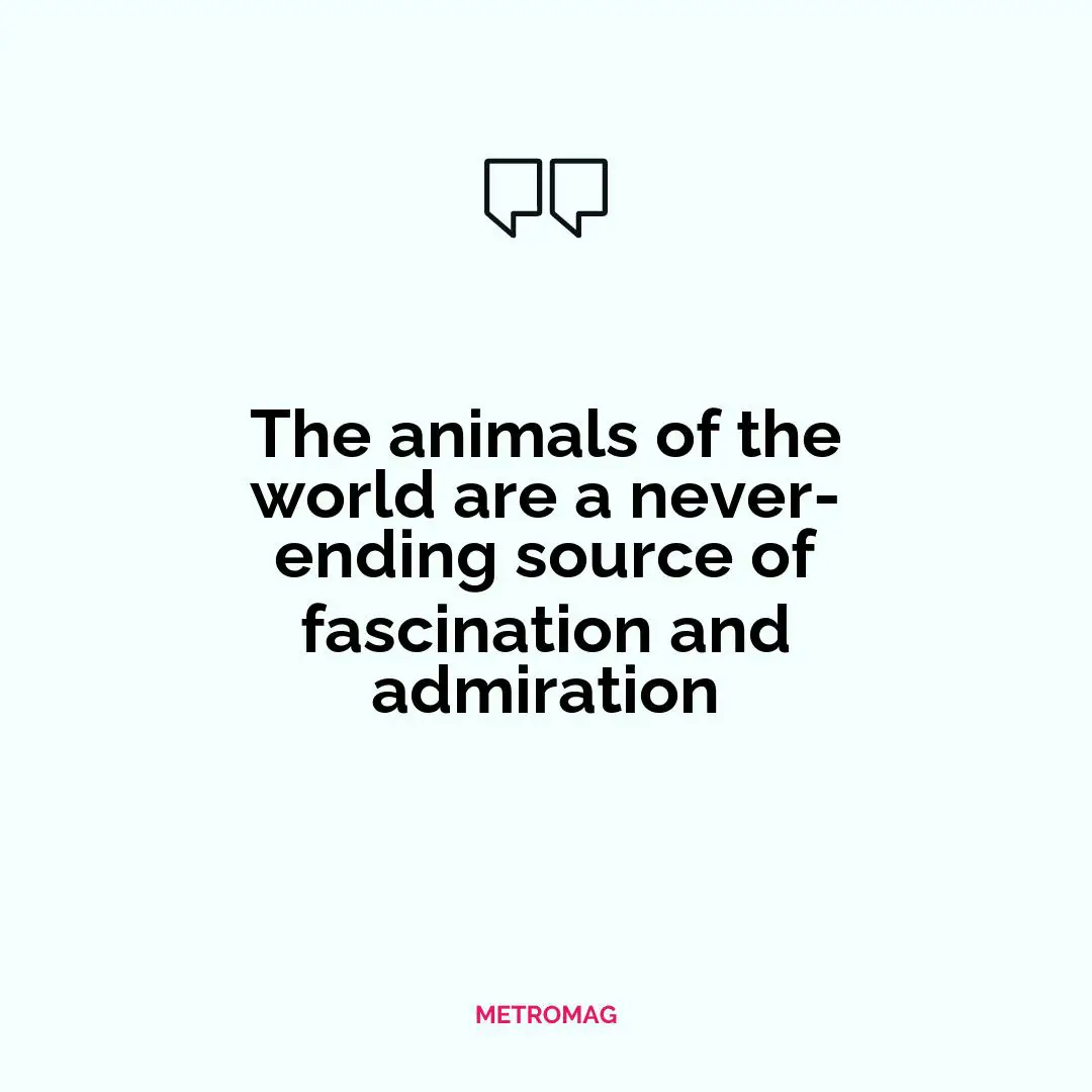 The animals of the world are a never-ending source of fascination and admiration