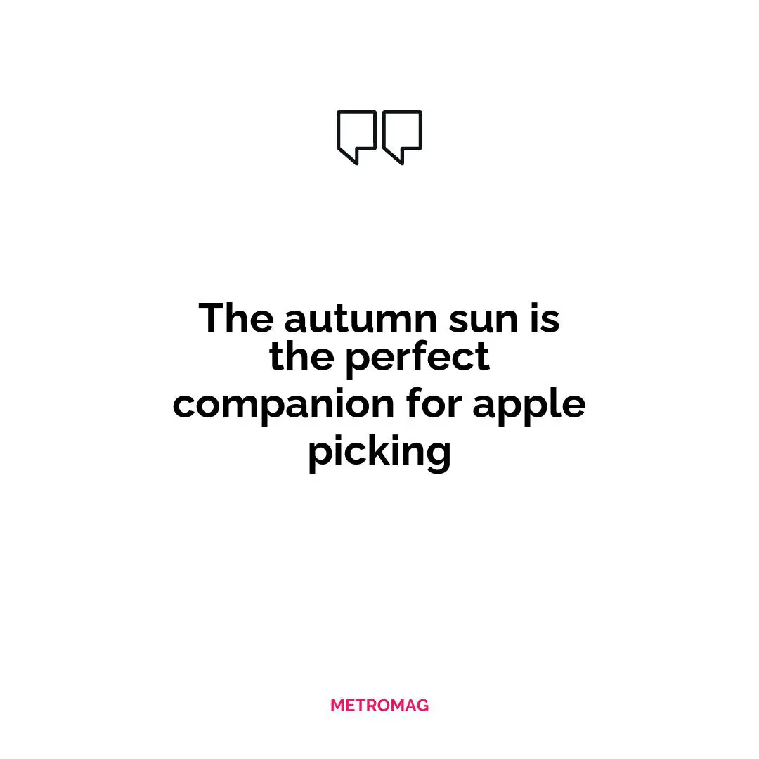 The autumn sun is the perfect companion for apple picking