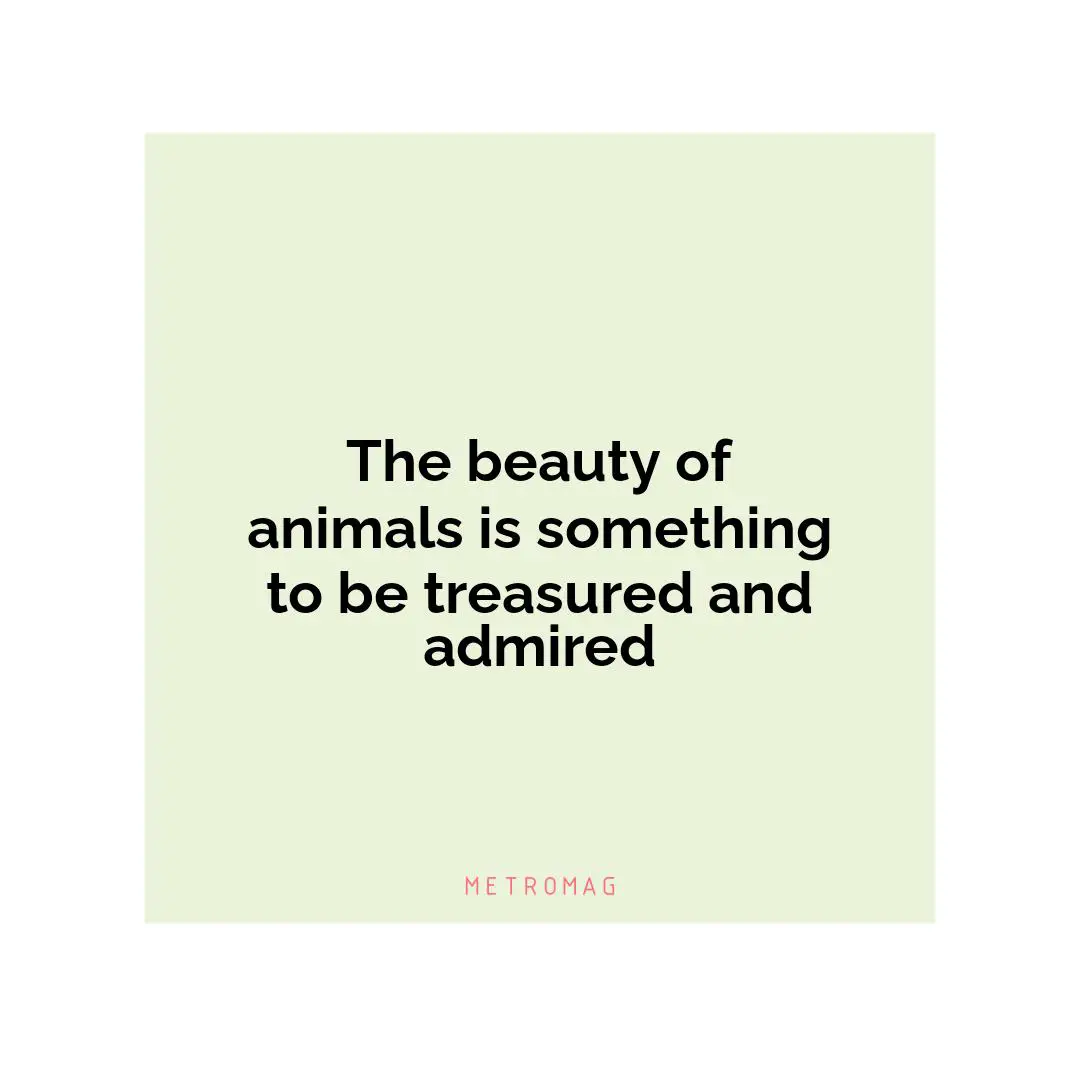 The beauty of animals is something to be treasured and admired