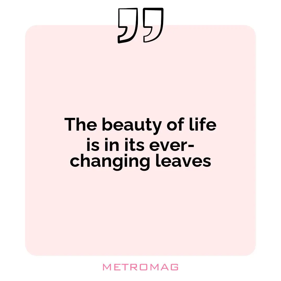The beauty of life is in its ever-changing leaves
