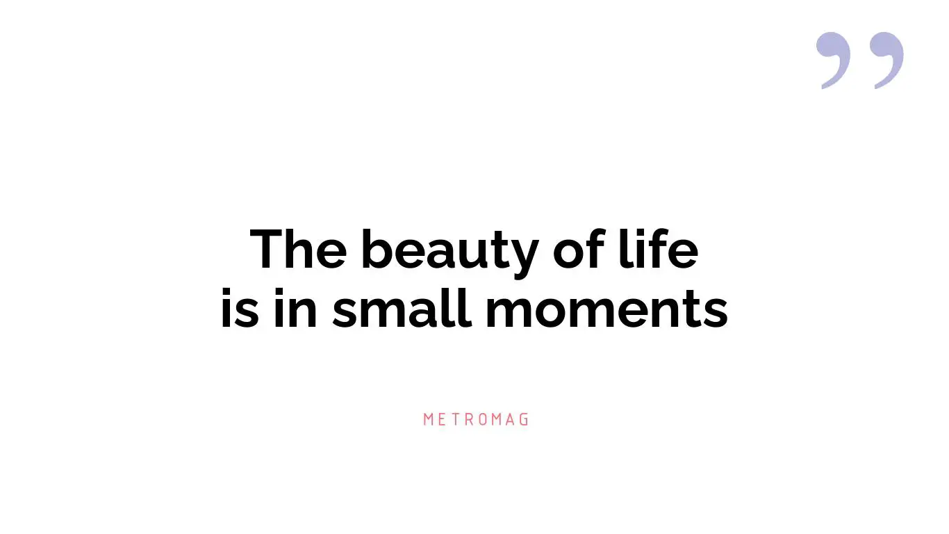 The beauty of life is in small moments