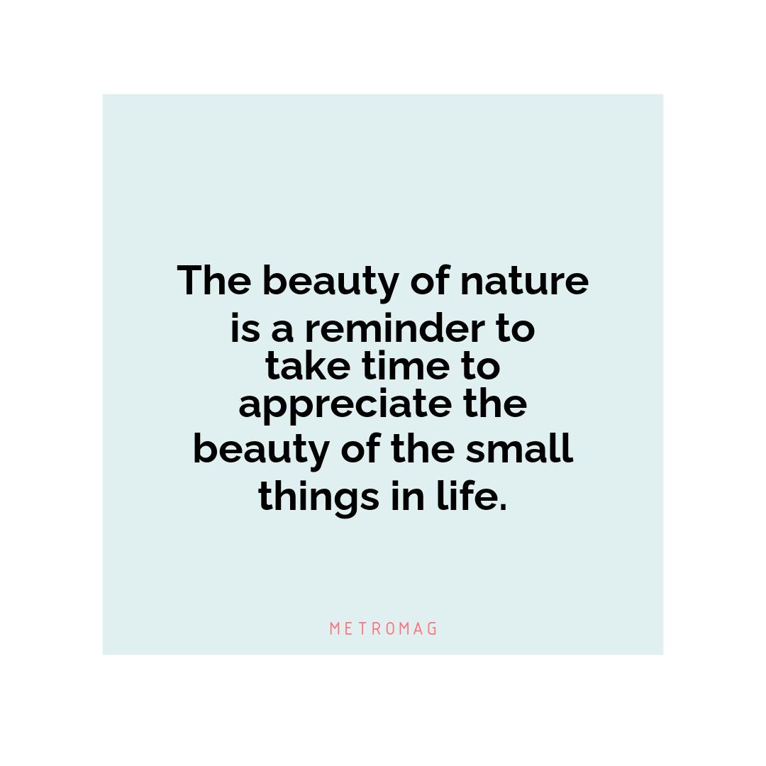 The beauty of nature is a reminder to take time to appreciate the beauty of the small things in life.
