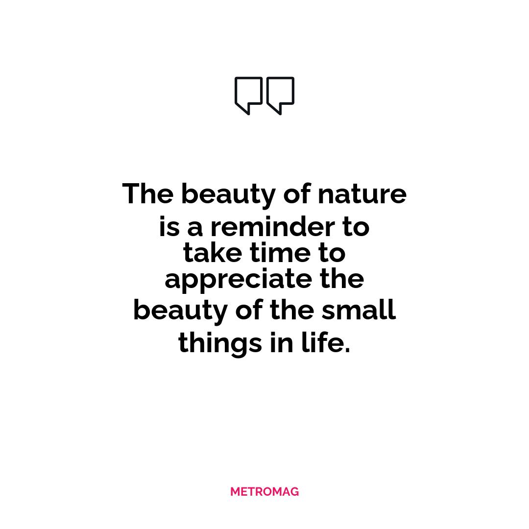 The beauty of nature is a reminder to take time to appreciate the beauty of the small things in life.