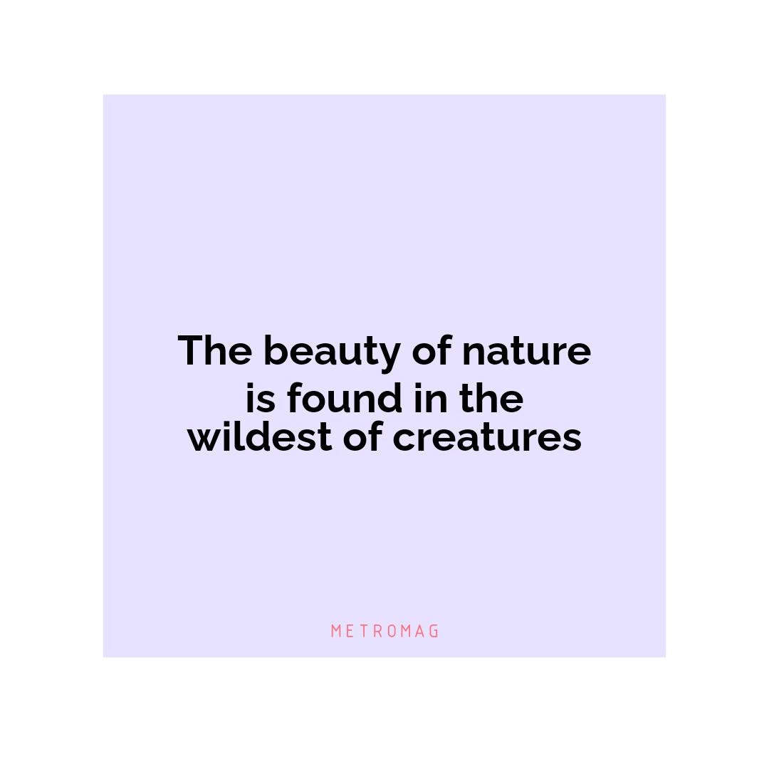 The beauty of nature is found in the wildest of creatures
