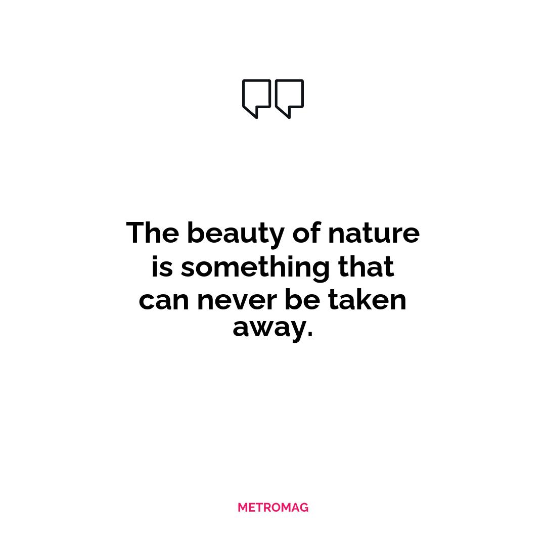 The beauty of nature is something that can never be taken away.