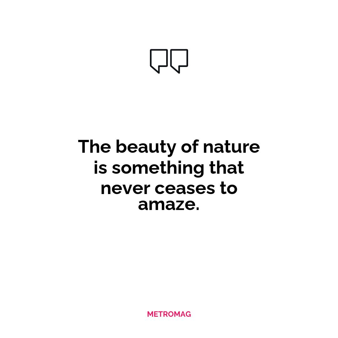 The beauty of nature is something that never ceases to amaze.