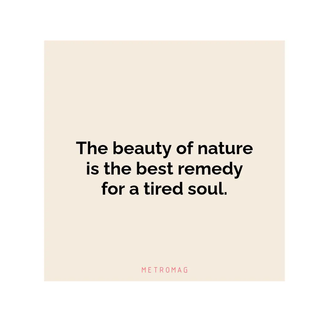 The beauty of nature is the best remedy for a tired soul.