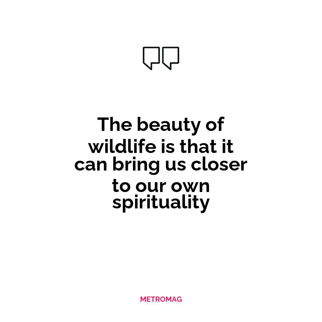 The beauty of wildlife is that it can bring us closer to our own spirituality