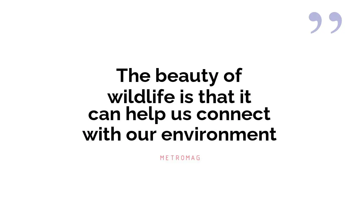 The beauty of wildlife is that it can help us connect with our environment