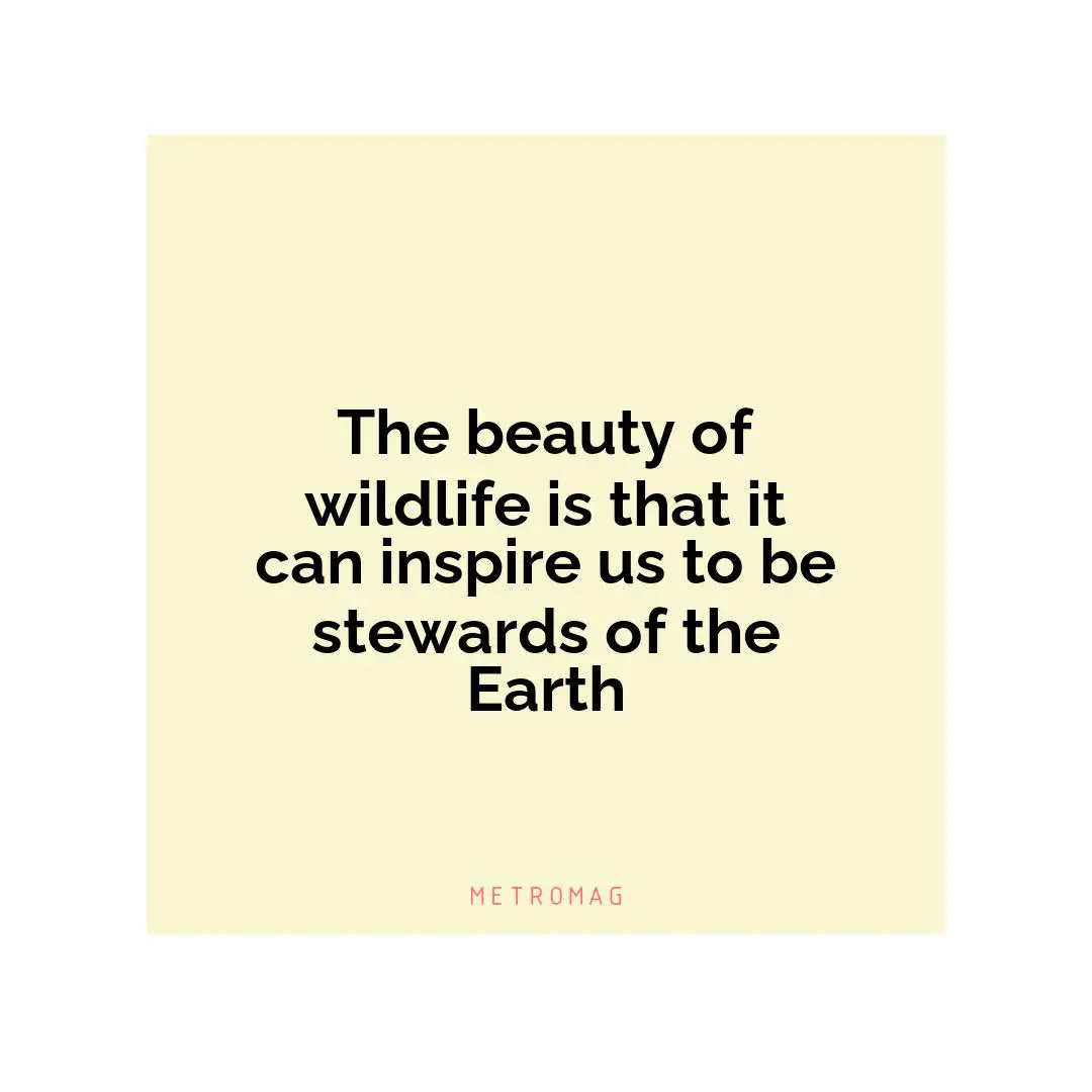 The beauty of wildlife is that it can inspire us to be stewards of the Earth