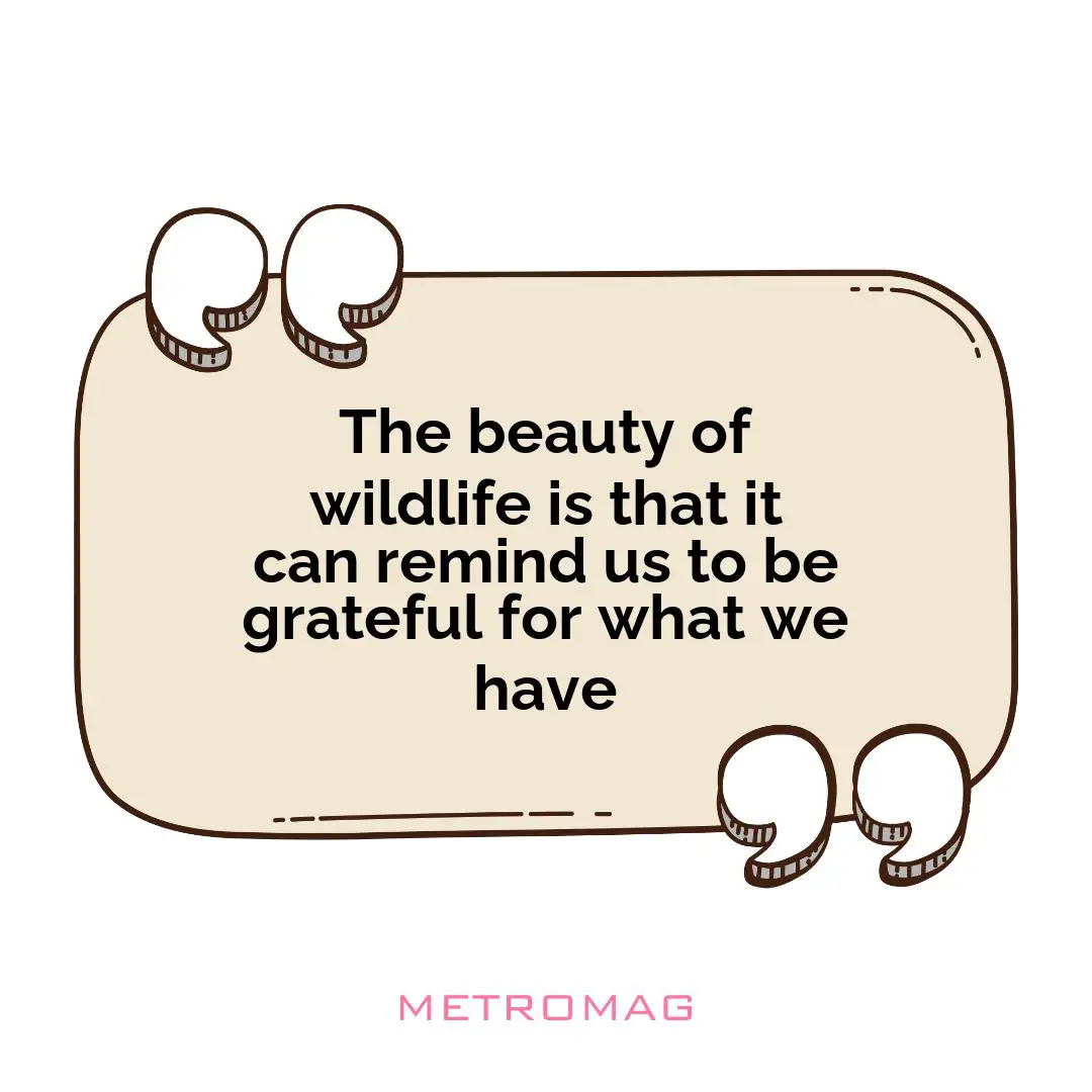 The beauty of wildlife is that it can remind us to be grateful for what we have
