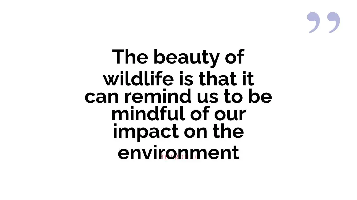 The beauty of wildlife is that it can remind us to be mindful of our impact on the environment