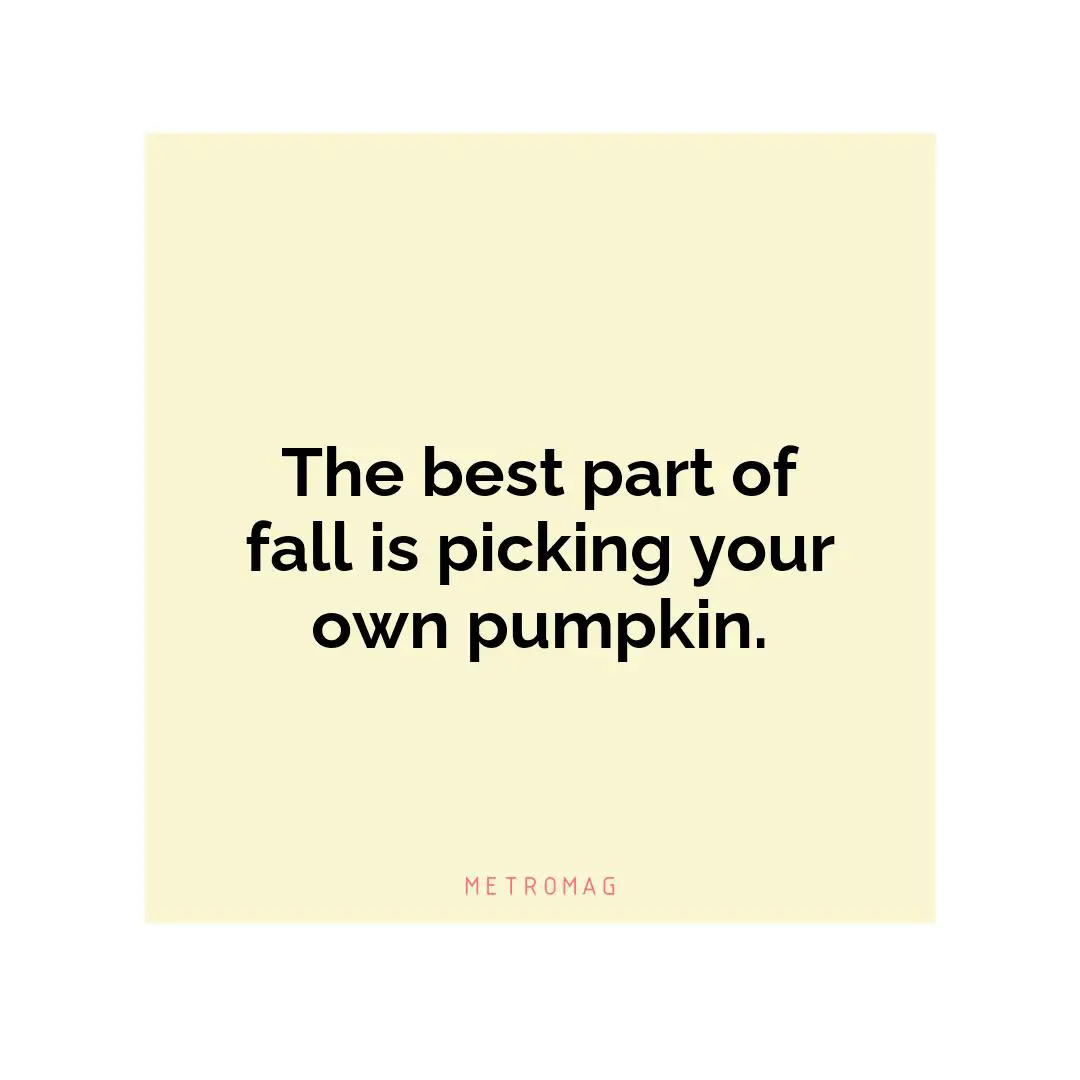 The best part of fall is picking your own pumpkin.