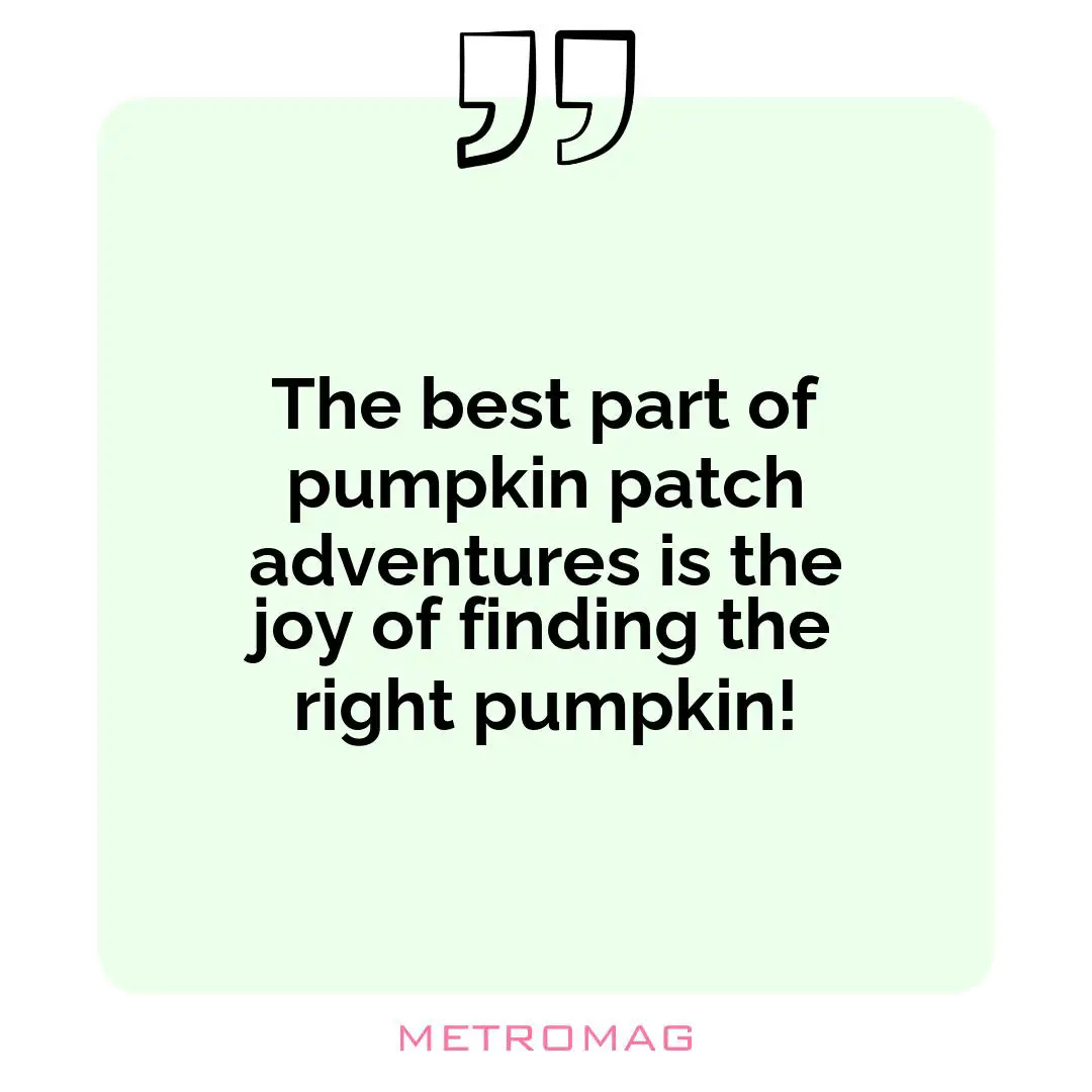 The best part of pumpkin patch adventures is the joy of finding the right pumpkin!