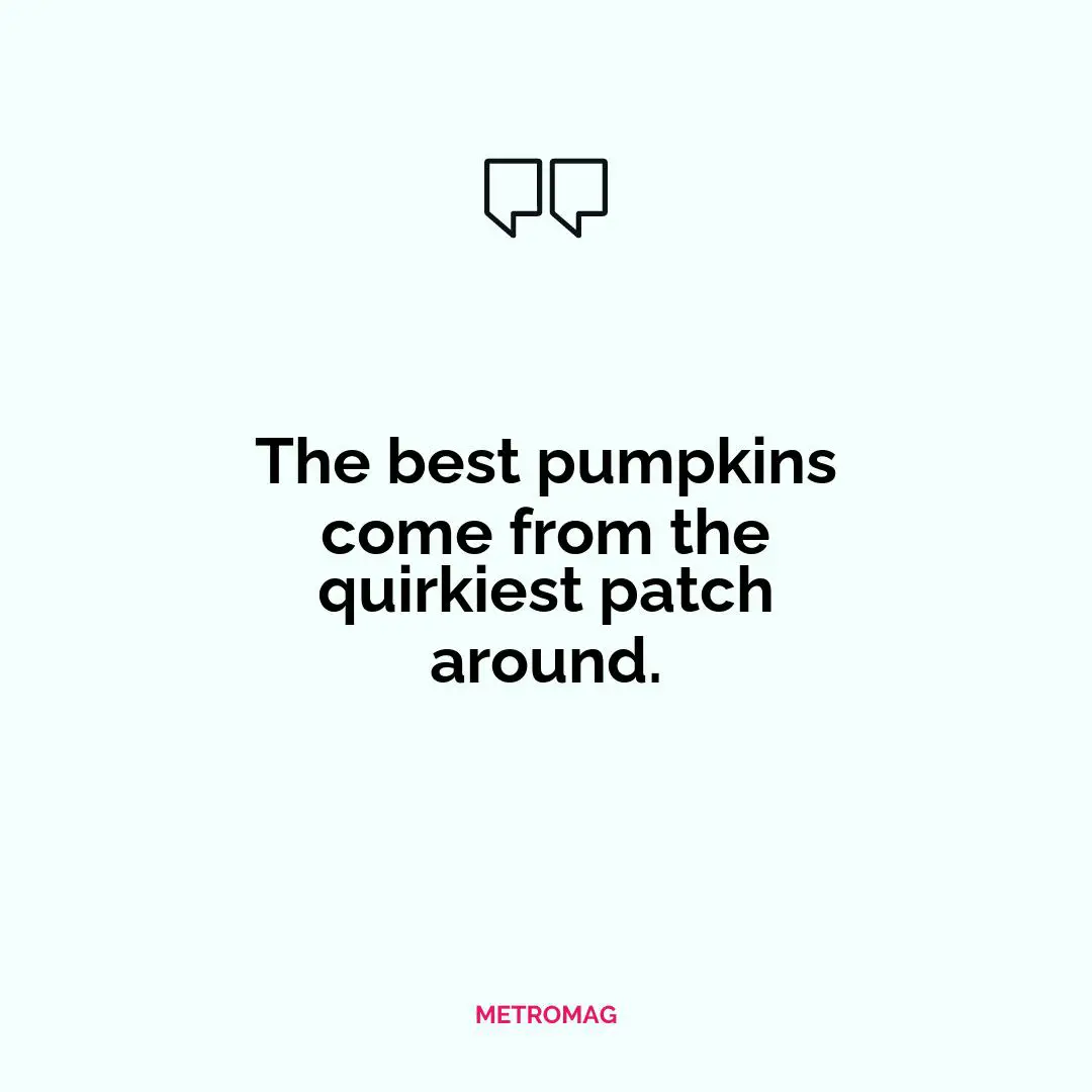 The best pumpkins come from the quirkiest patch around.