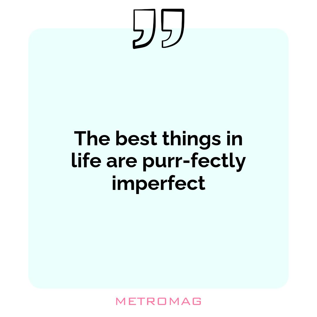 The best things in life are purr-fectly imperfect