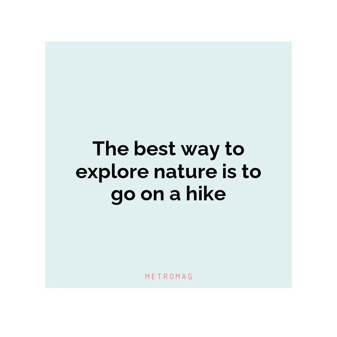 The best way to explore nature is to go on a hike