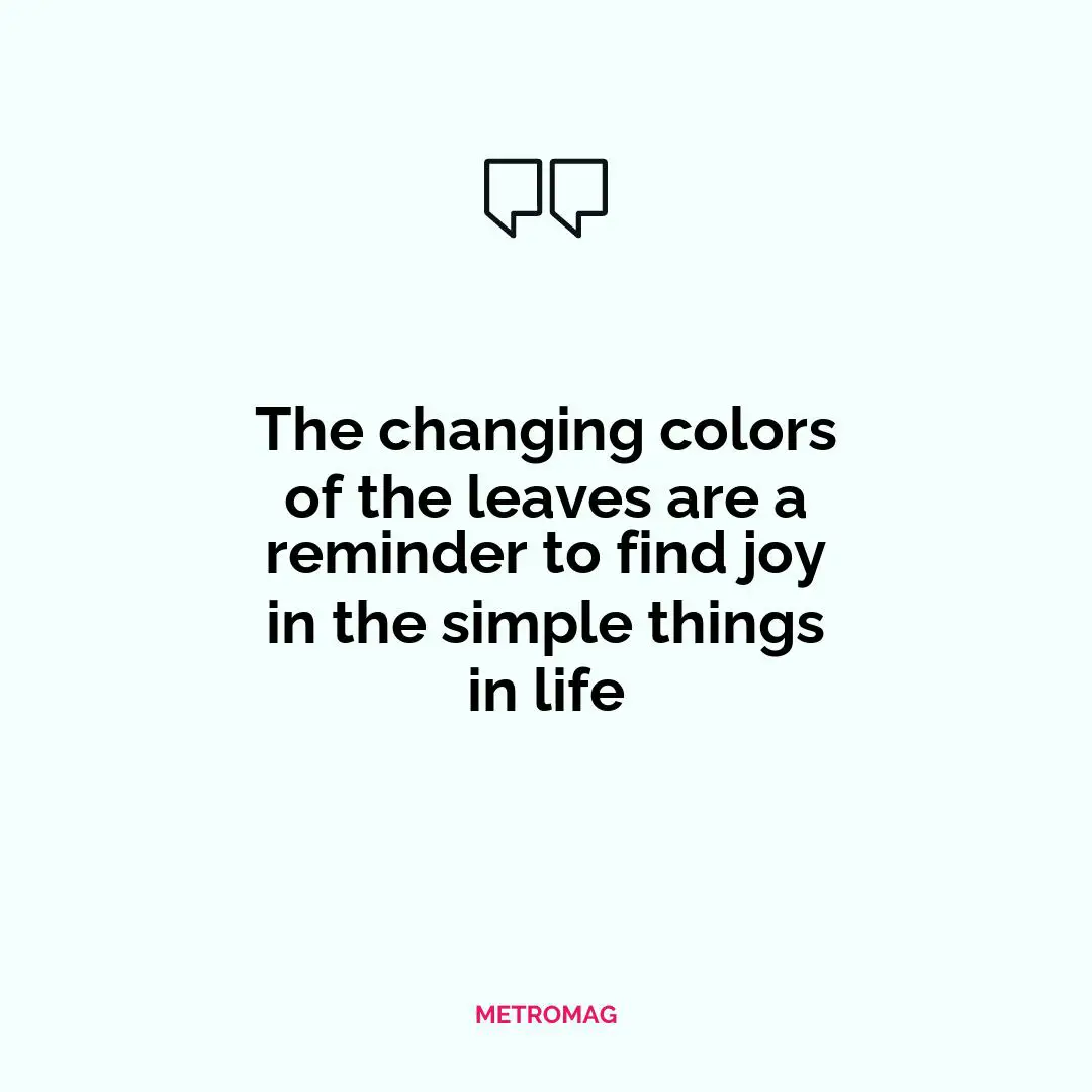 The changing colors of the leaves are a reminder to find joy in the simple things in life