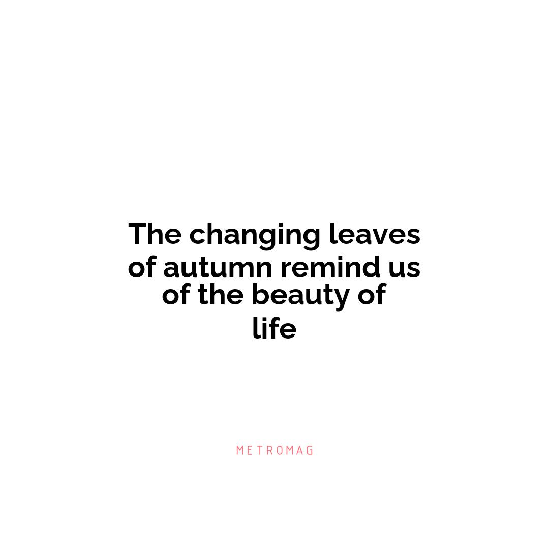 The changing leaves of autumn remind us of the beauty of life